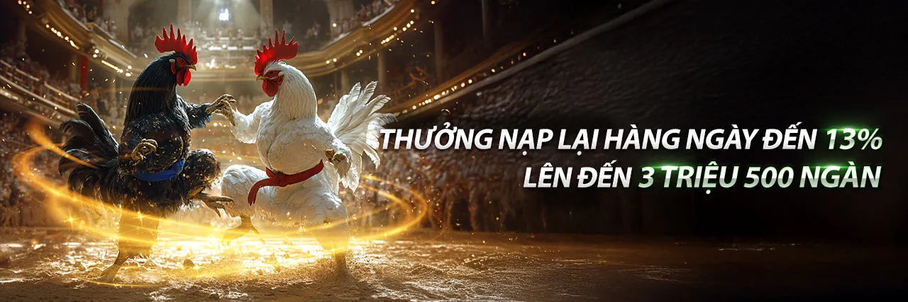 Các chương trình khuyến mãi hấp dẫn tại 2053cncom